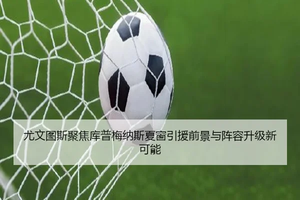 you-wen-tu-si-ju-jiao-ku-pu-mei-na-si-xia-chuang-yin-yuan-qian-jing-yu-zhen-rong-sheng-ji-xin-ke-neng-3-392.jpg